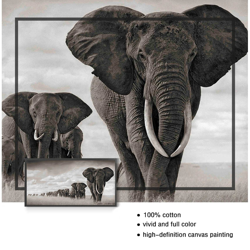 Black Africa Elephants Canvas Painting