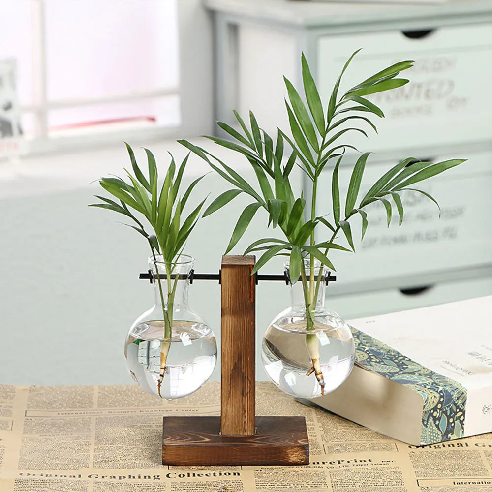 Creative Hydroponic Plant Glass