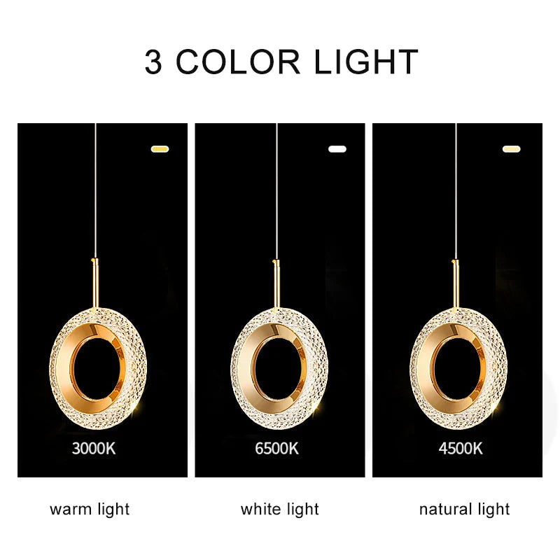 Ring LED Pendant Lights Indoor