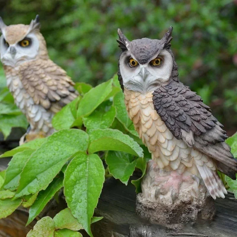 Cute Decoration Owl