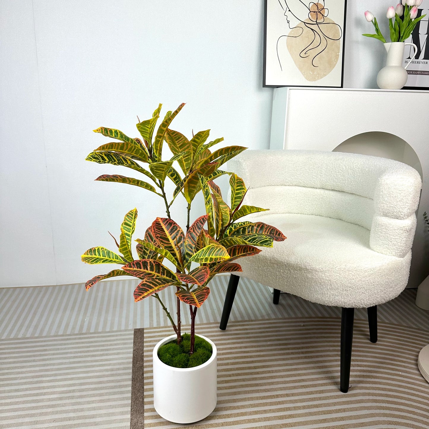 Plant for Home Decor