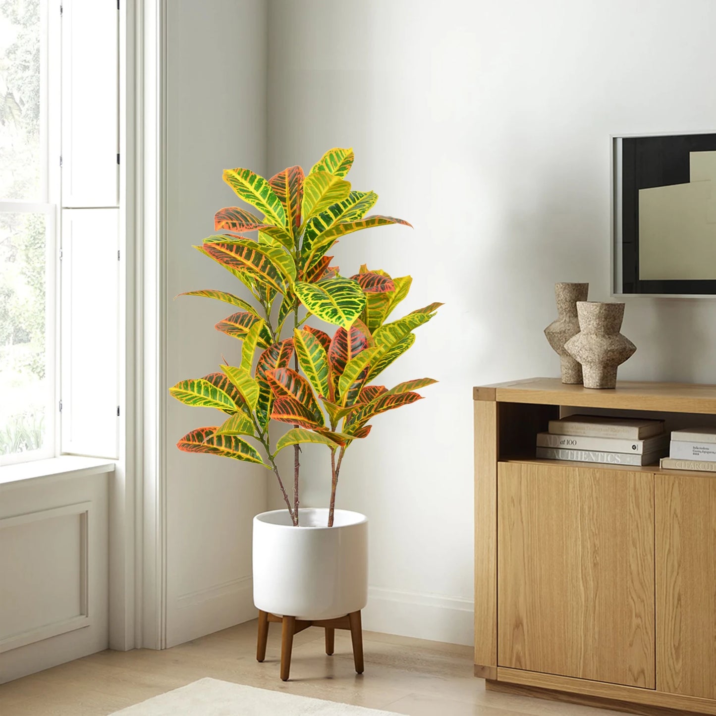 Plant for Home Decor